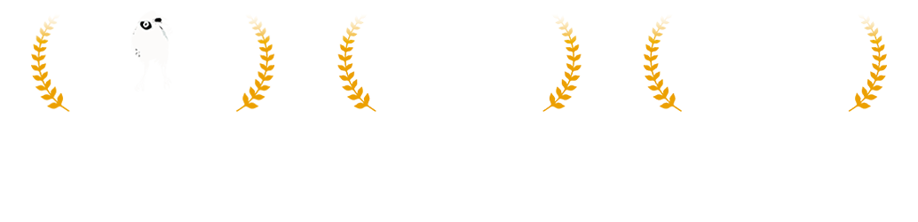 gal-estoeslucha.png