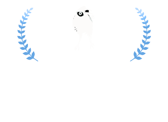gal-quenadameapague.png