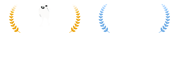 gal-tierra-llama.png